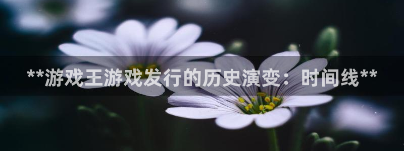 门徒娱乐平台违法吗：**游戏王游戏发行的历史演变：时间线**