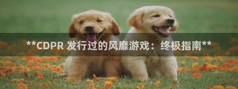 门徒娱乐集团：**CDPR 发行过的风靡游戏：终极指南**