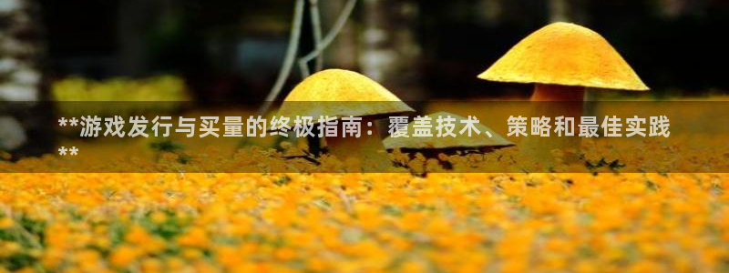 门徒娱乐客服电话：**游戏发行与买量的终极指南：覆盖技术、策略和最佳实践
**