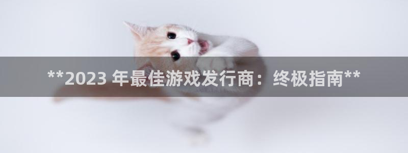门徒平台定制 411O31 门徒：**2023 年最佳游戏发行商：终极指南**
