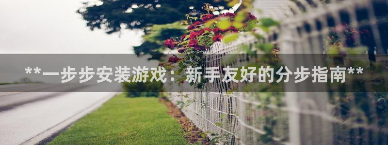 门徒平台注册中心：**一步步安装游戏：新手友好的分步指南**