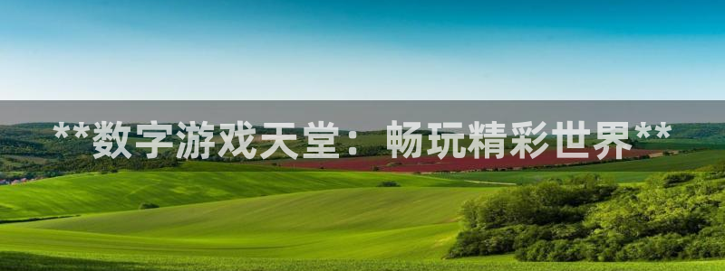 门徒娱乐平台可靠吗：**数字游戏天堂：畅玩精彩世界**