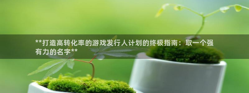 门徒平台注册登陆失败：**打造高转化率的游戏发行人计划的终极指南：取一个强
有力的名字**