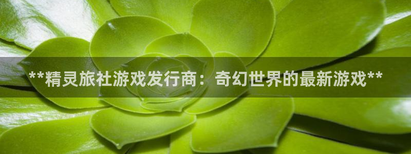 门徒平台会员注册流程：**精灵旅社游戏发行商：奇幻世界的最新游戏**