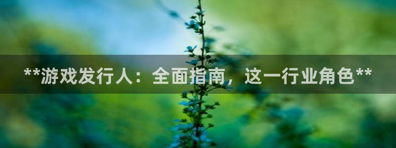 门徒娱乐财神联盟：**游戏发行人：全面指南，这一行业角色**