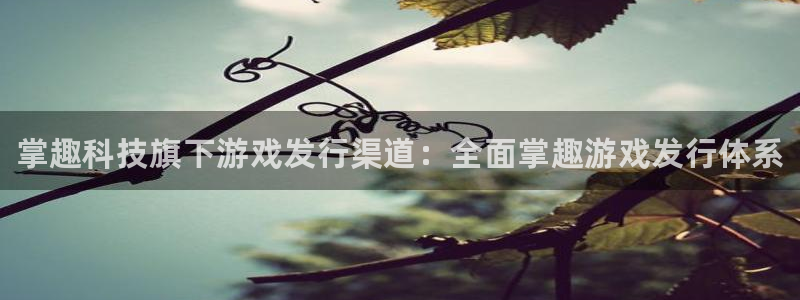 门徒平台集团官网下载：掌趣科技旗下游戏发行渠道：全面掌趣游戏发行体系