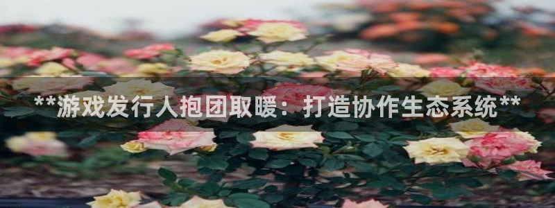 门徒平台云 411o31 门徒