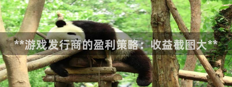 门徒平台登录注册账号：**游戏发行商的盈利策略：收益截图大**