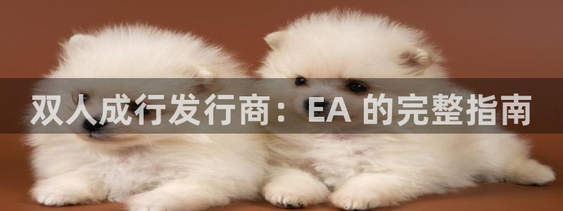 门徒平台推荐 585341：双人成行发行商：EA 的完整指南