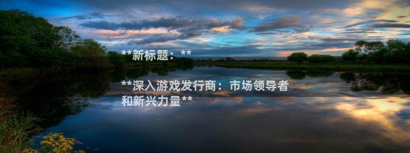门徒平台徽信搜推客娃娃：**新标题：**

**深入游戏发行商：市场领导者
和新兴力量**