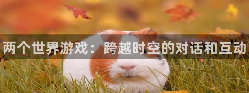 门徒娱乐怎么下载软件：两个世界游戏：跨越时空的对话和互动