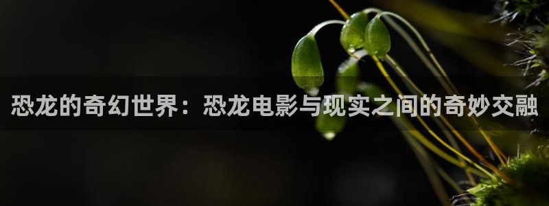五杀影院在线电影：恐龙的奇幻世界：恐龙电影与现实之间的奇妙交融