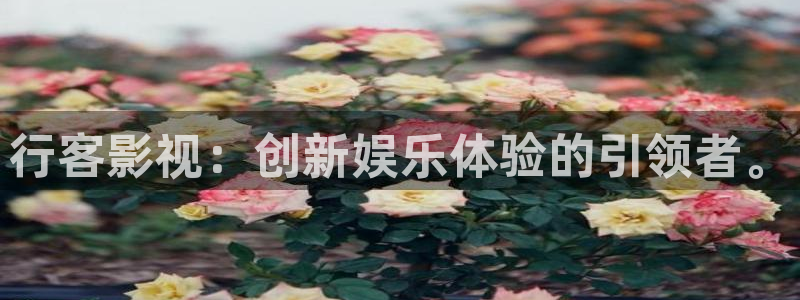 五杀影院免费在线观看：行客影视：创新娱乐体验的引领者。