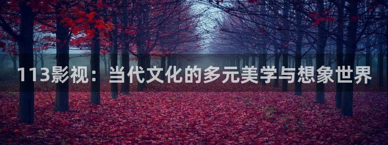 五杀影院手机：113影视：当代文化的多元美学与想象世界