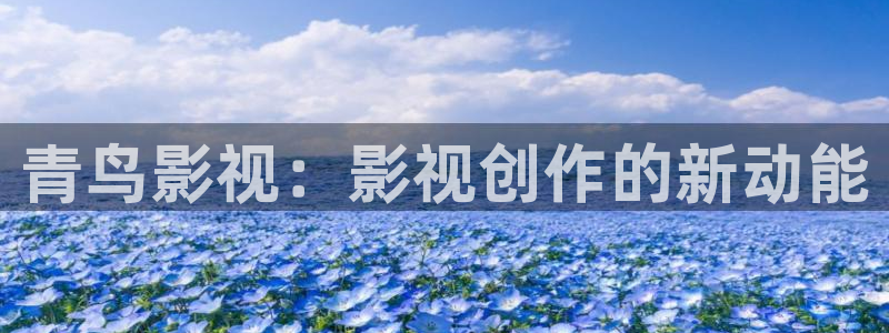 五杀影院观看免费观看：青鸟影视：影视创作的新动能