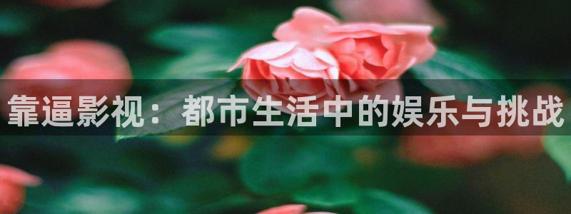 五杀影院免费高清：靠逼影视：都市生活中的娱乐与挑战