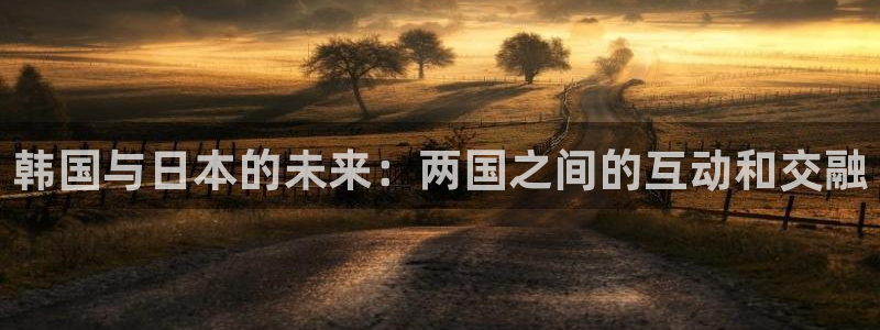 五杀影院电影大全：韩国与日本的未来：两国之间的互动和交融