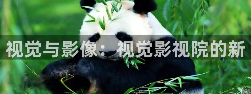 五杀影院在线观看免费最新：视觉与影像：视觉影视院的新
