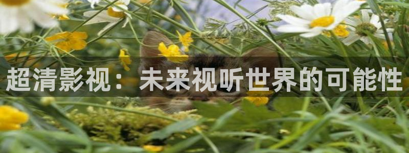 五杀影院免费高清完整：超清影视：未来视听世界的可能性