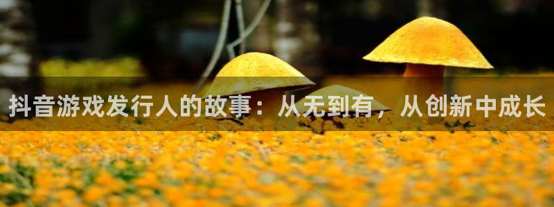 门徒娱乐29i娱乐判官333oo：抖音游戏发行人的故事：从无到有，从创新中成长